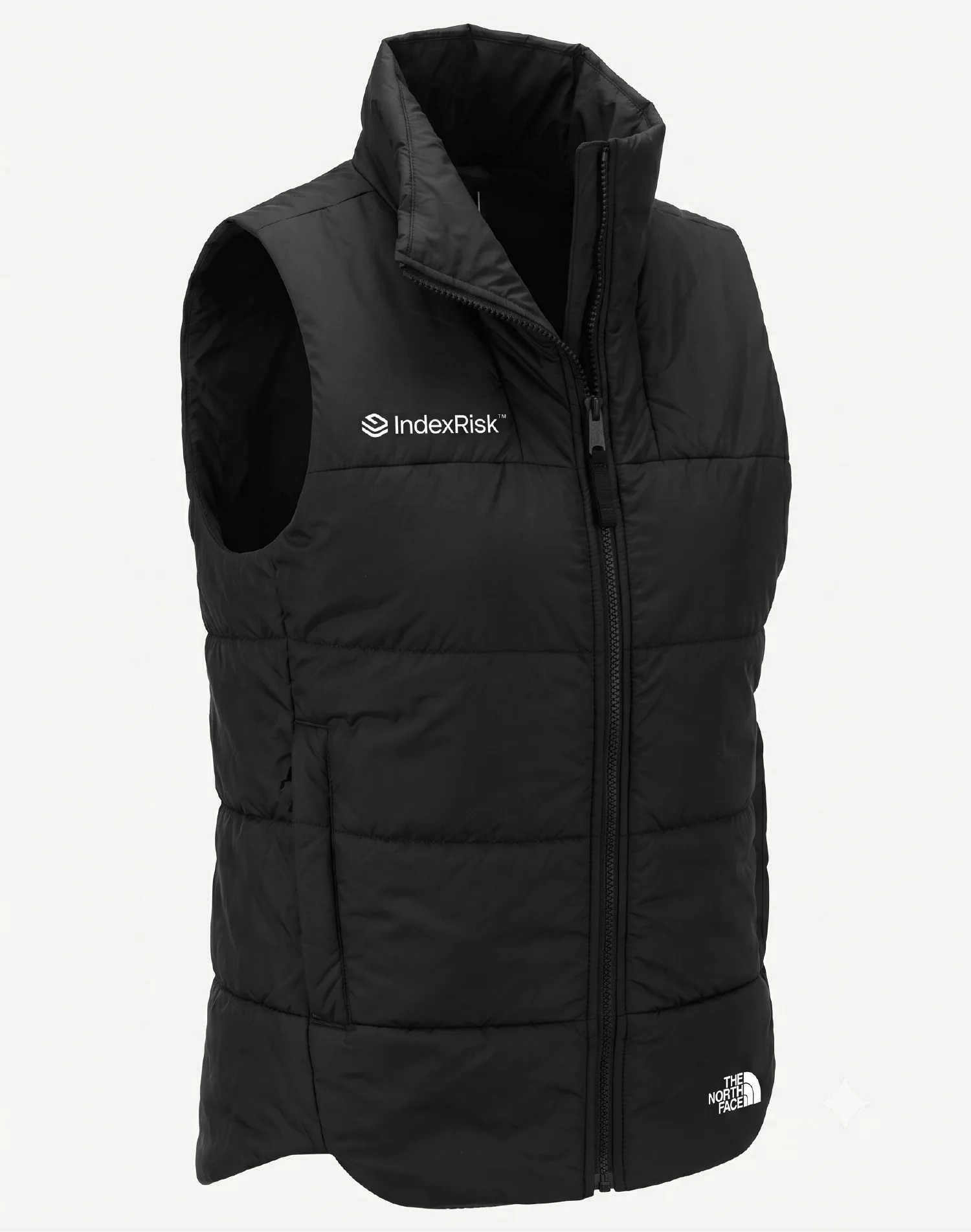 Women's TNF EveryDay Insulated Vest